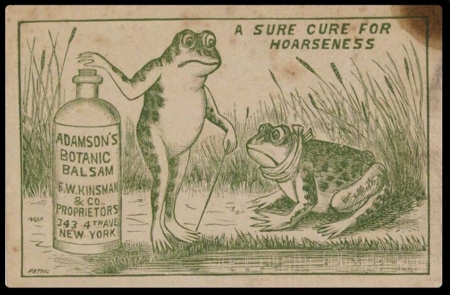 Two cartoon frogs. One stands with a cane next to a bottle labelled "Adamson's Botanic Balsam"