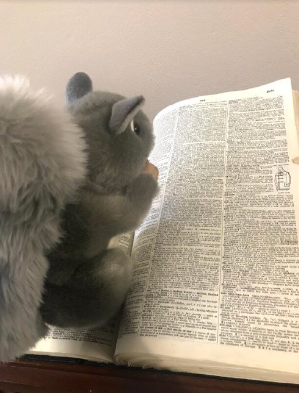 A small grey squirrel toy sits on an open book, seemingly reading the text
