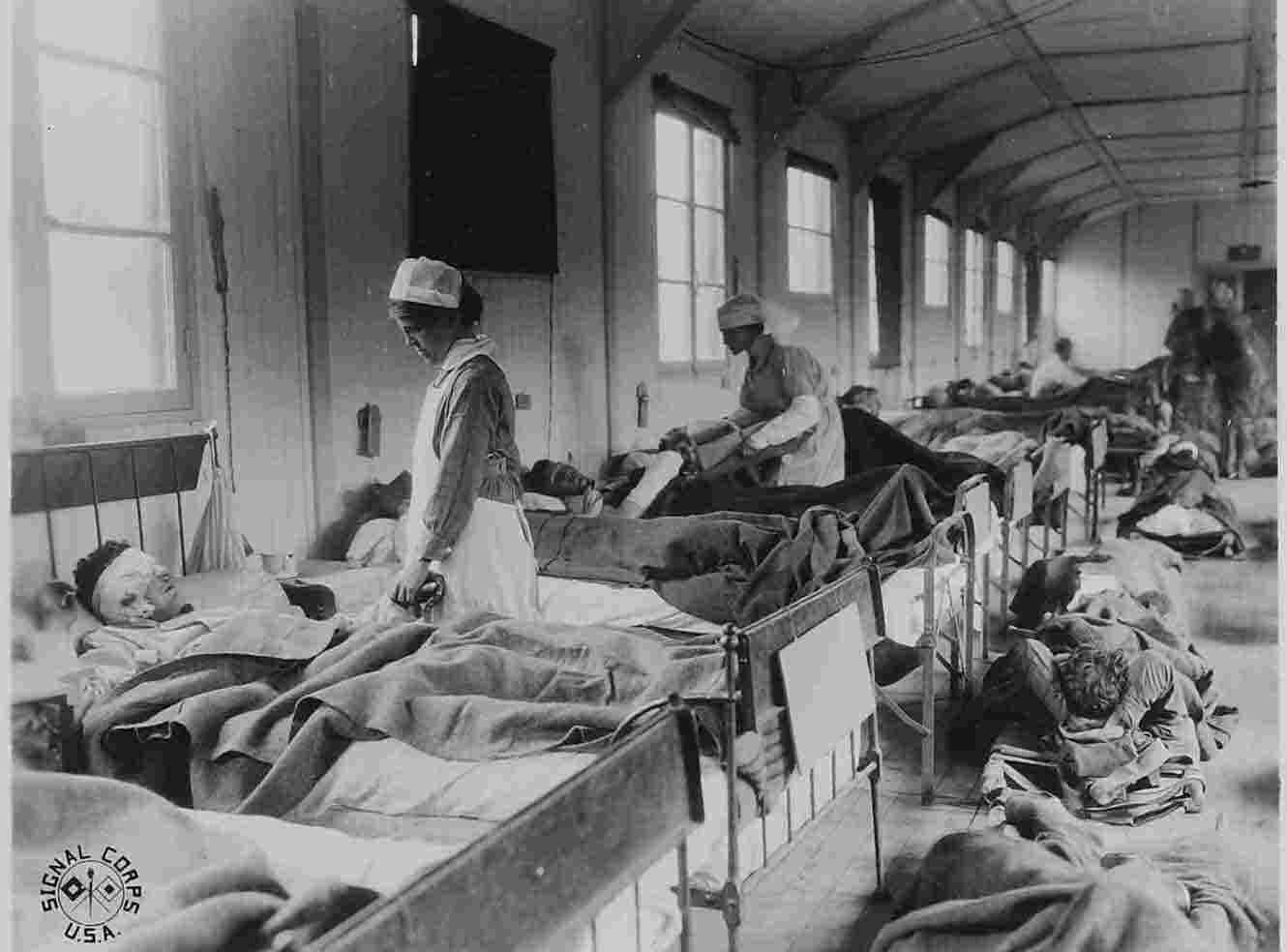 Thumbnail for First World War Portal