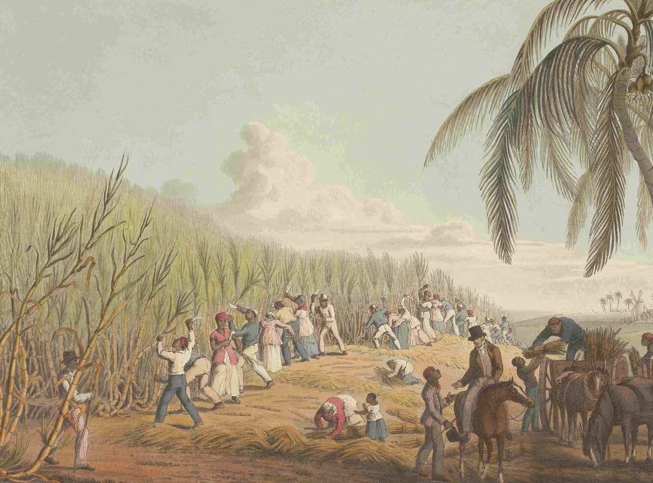Thumbnail for Slavery, Abolition and Social Justice
