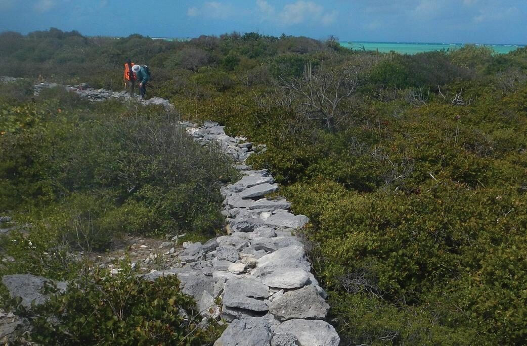 A rocky pathway winding through green shrubs, with two people working in the background.