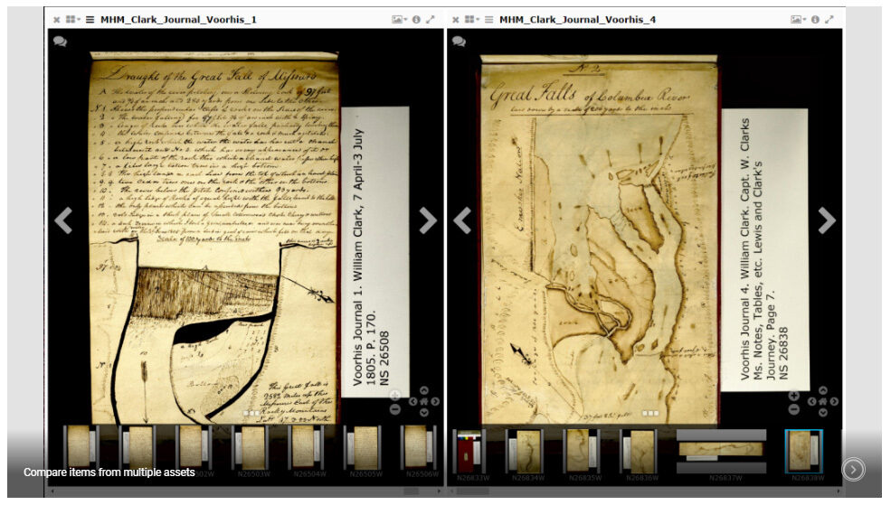 IIIF viewer