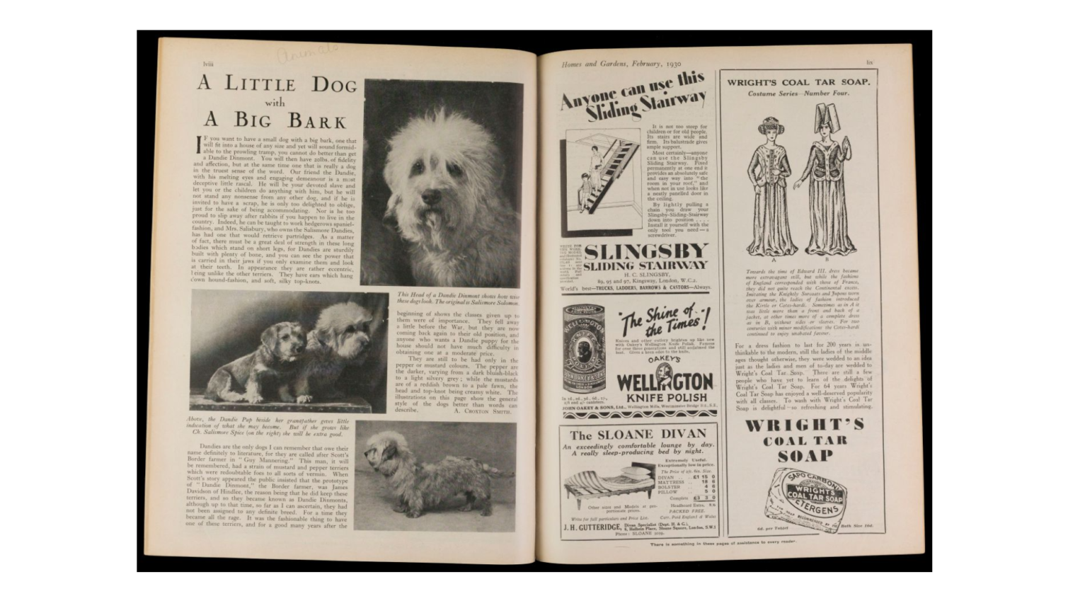 Little Dog With a Big Bark Dog Blog November 2022