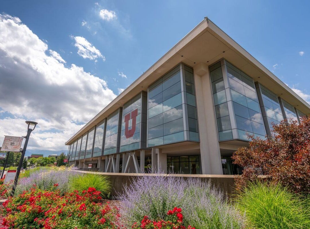 A modern building with large glass windows surrounded by colorful flowers and blue sky.