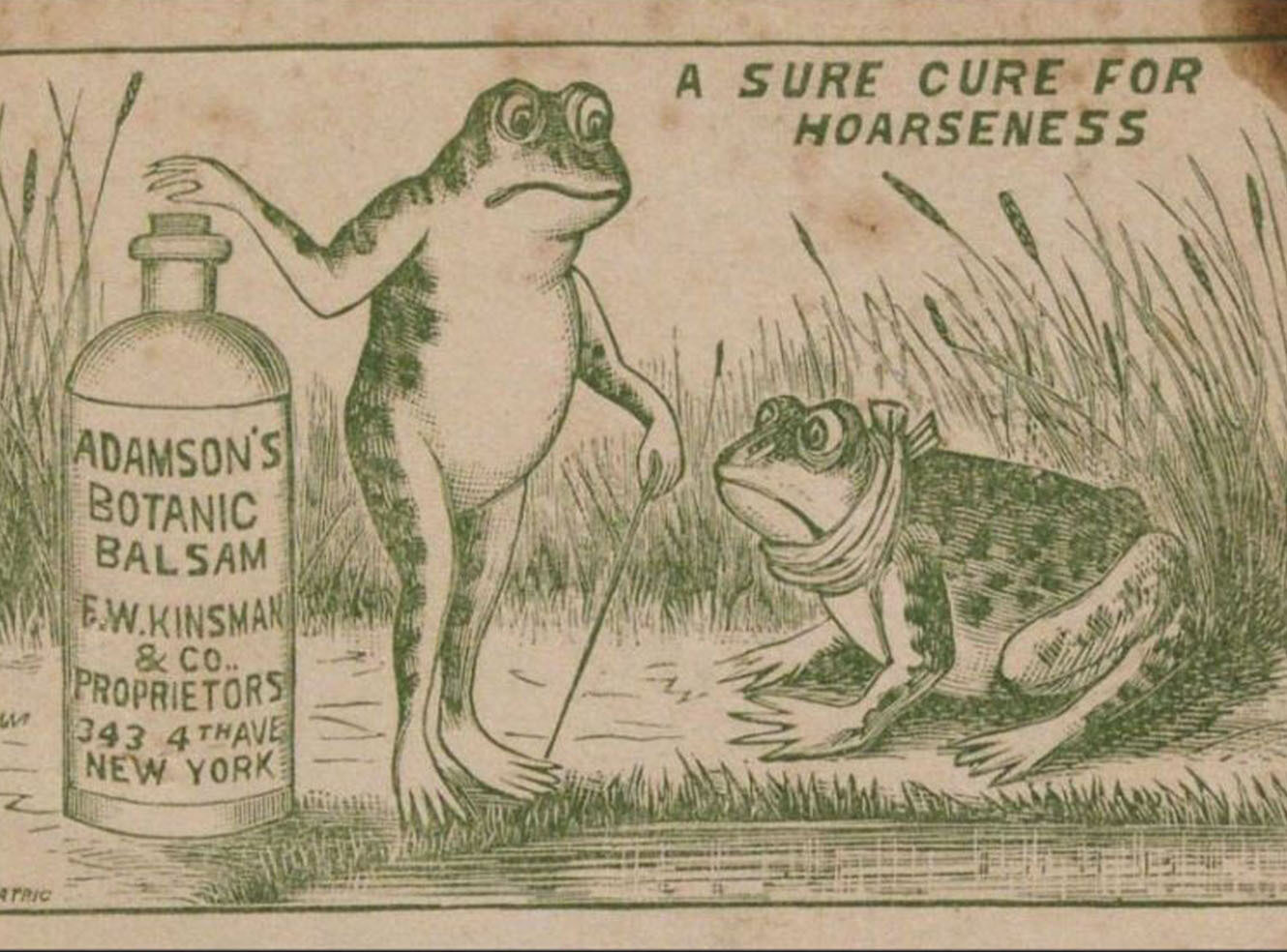 Two frogs near a bottle labelled Adamson's Botanic Balsam, promoting a cure for hoarseness