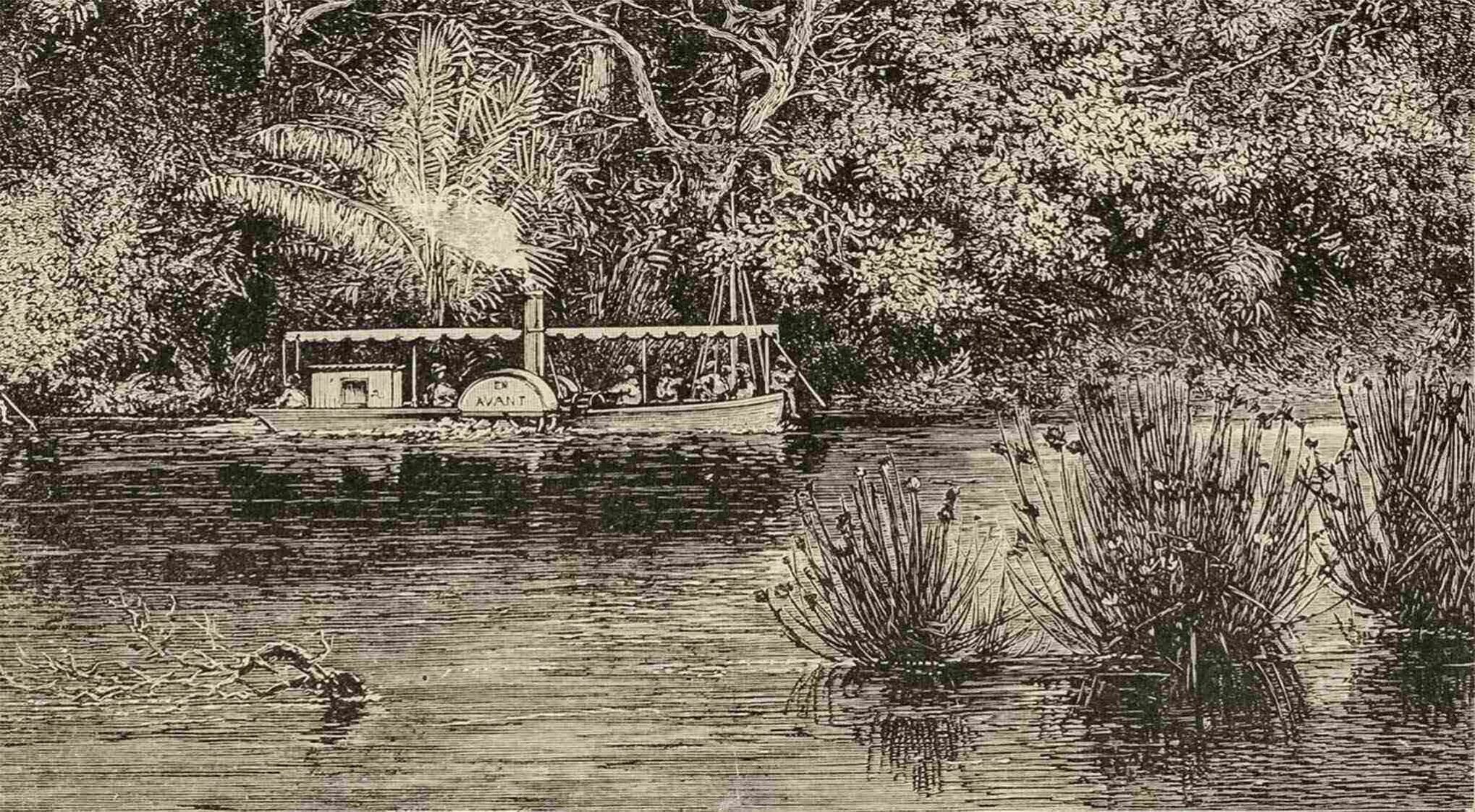 A boat on the river near lush green trees in the Congo, with plants in the water.